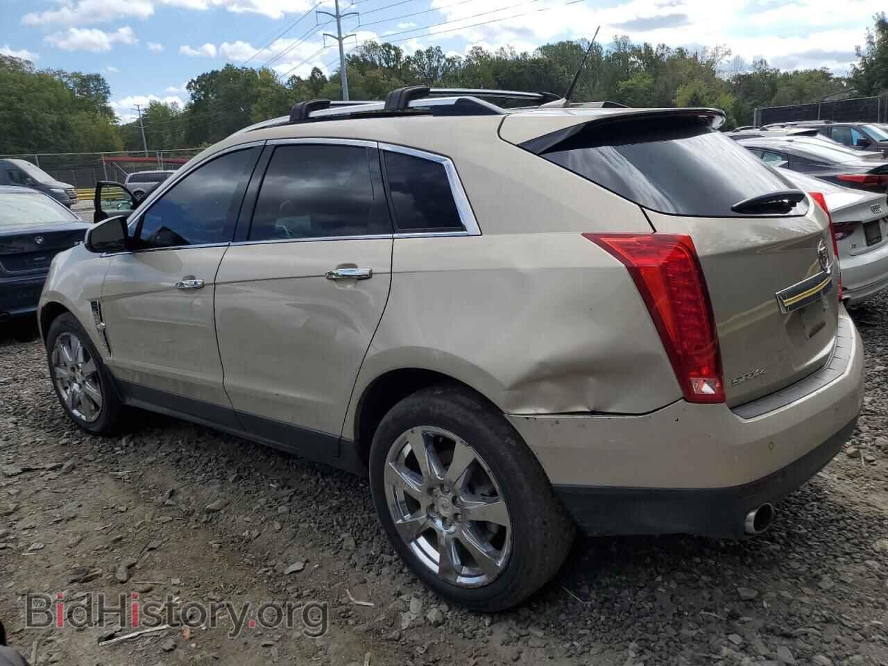 2012 CADILLAC SRX - VIN: 3GYFNFE37CS541202 - Фото 2