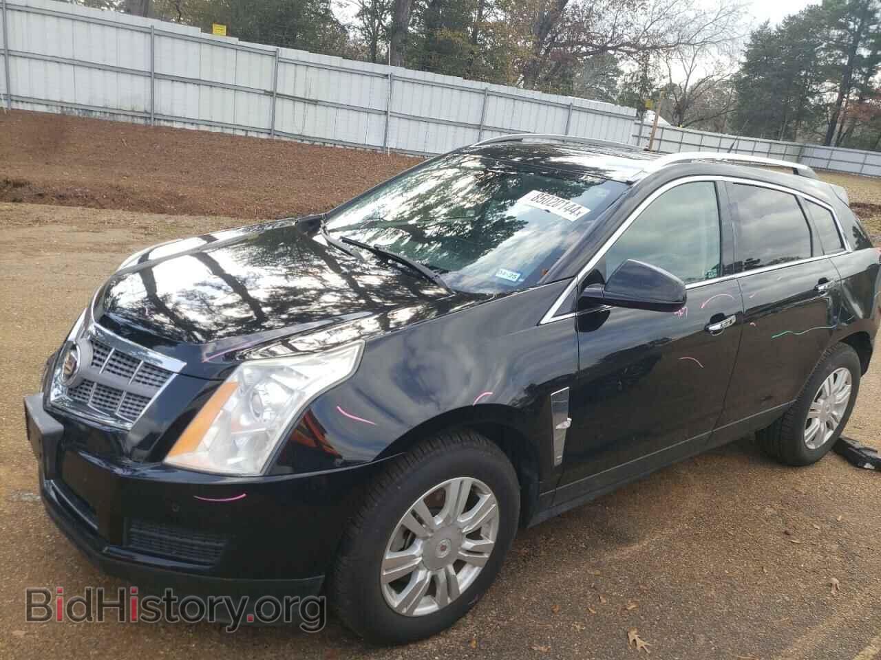 Photo 3GYFNAEY2BS598601 - CADILLAC SRX 2011