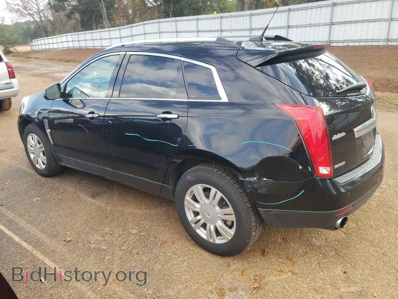 2011 CADILLAC SRX - VIN: 3GYFNAEY2BS598601 - Фото 2