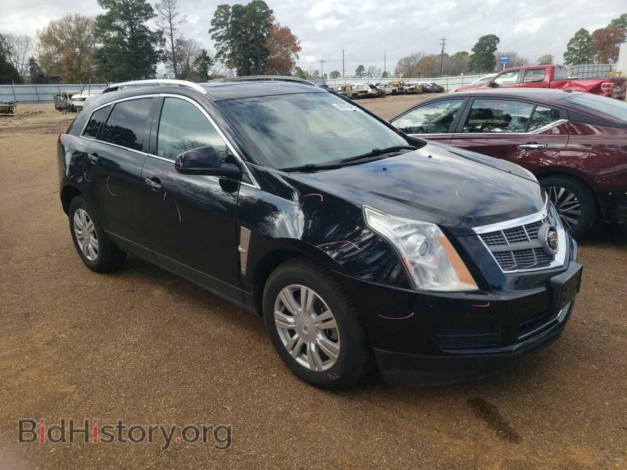 2011 CADILLAC SRX - VIN: 3GYFNAEY2BS598601 - Фото 4