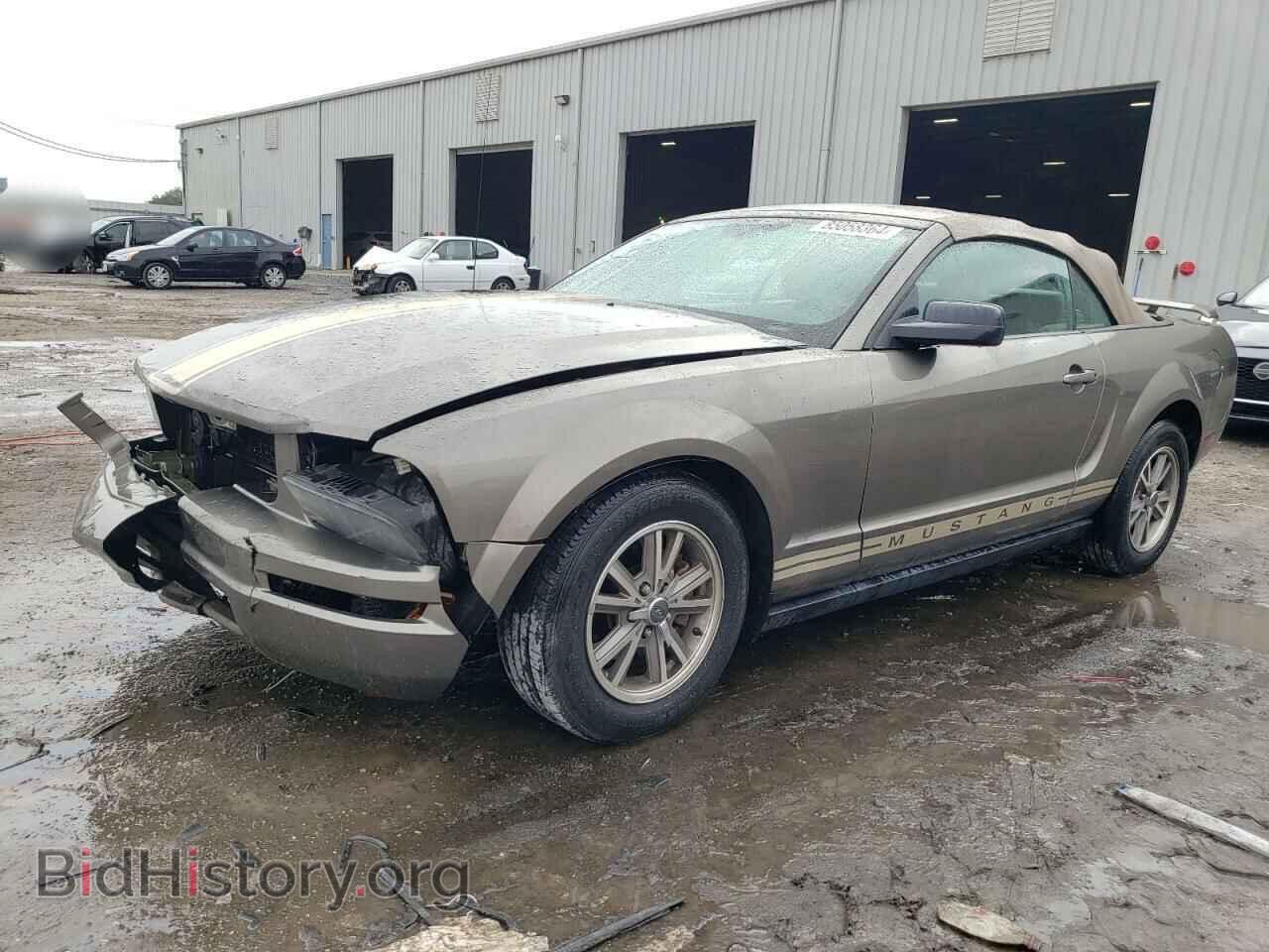 Фотография 1ZVHT84N055249727 - FORD ALL Models 2005