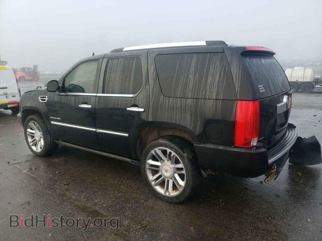2010 CADILLAC ESCALADE - VIN: 1GYUKCEF1AR159241 - Фото 2
