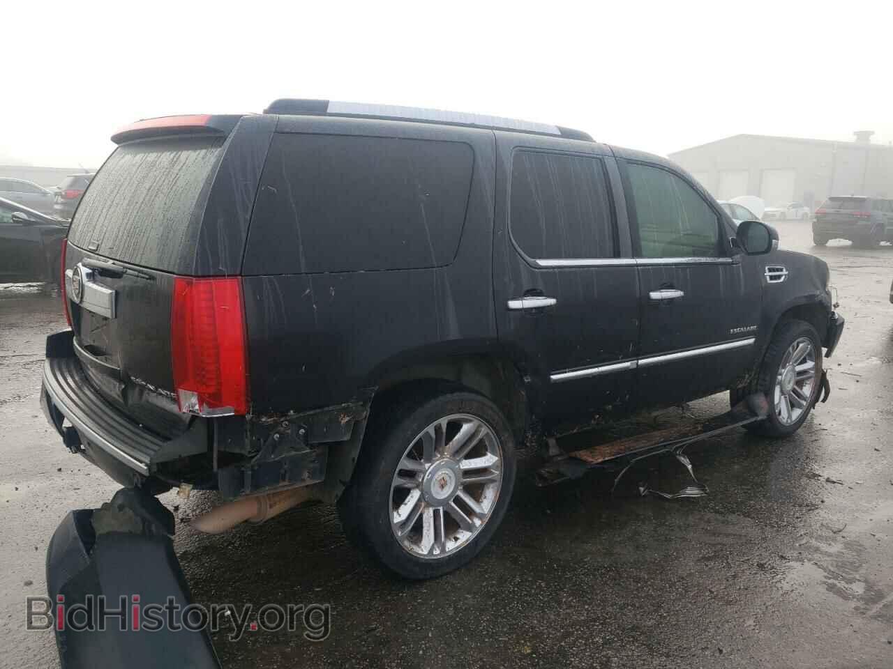 2010 CADILLAC ESCALADE - VIN: 1GYUKCEF1AR159241 - Фото 3