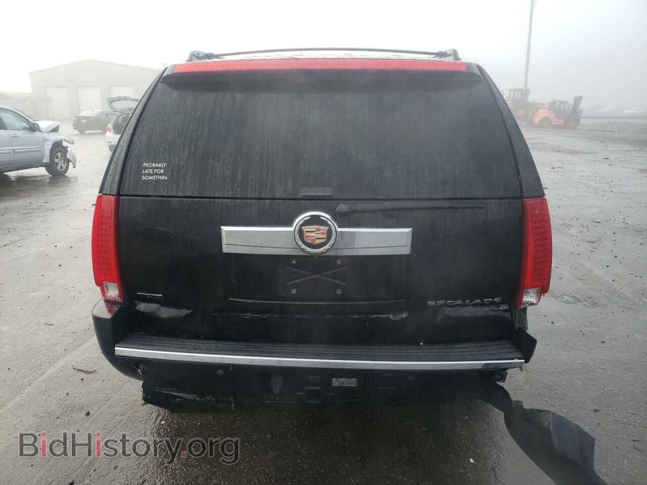 2010 CADILLAC ESCALADE - VIN: 1GYUKCEF1AR159241 - Фото 6