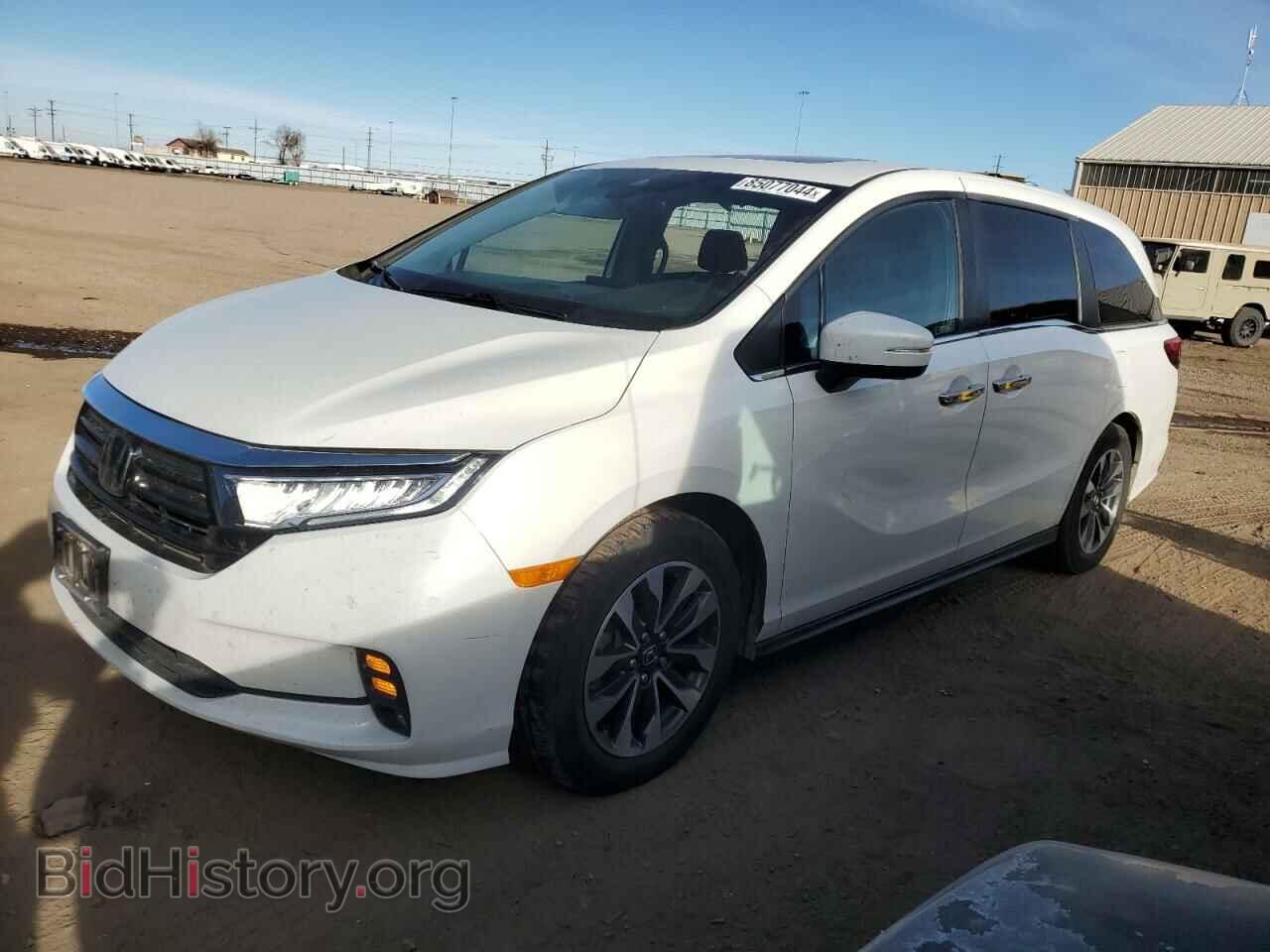 Фотография 5FNRL6H79NB032277 - HONDA All Models 2022