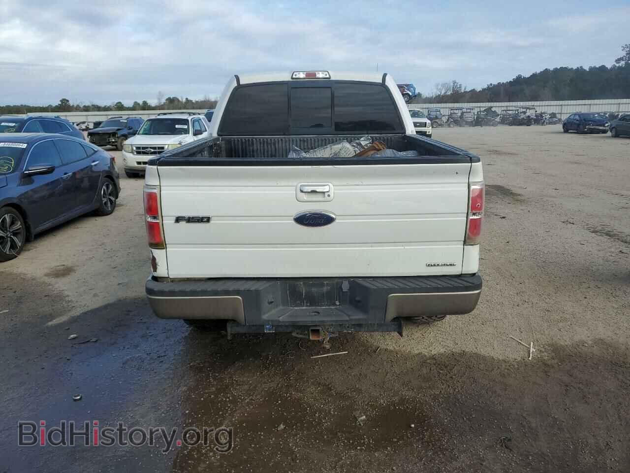 2011 FORD F-150 - VIN: 1FTFW1EF8BFA74536 - Фото 6