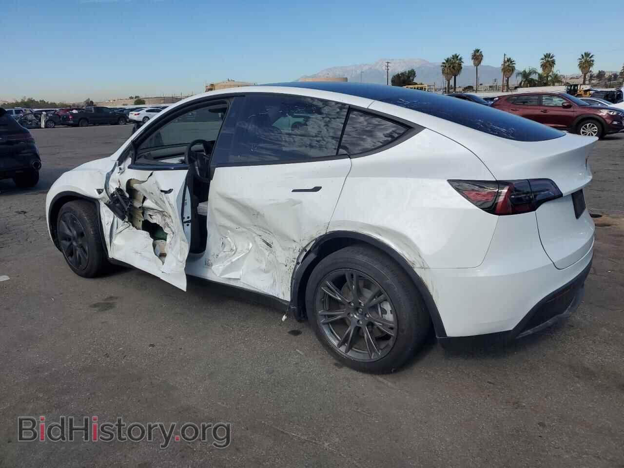 2024 TESLA MODEL Y - VIN: 7SAYGAEE3RF124841 - Фото 2