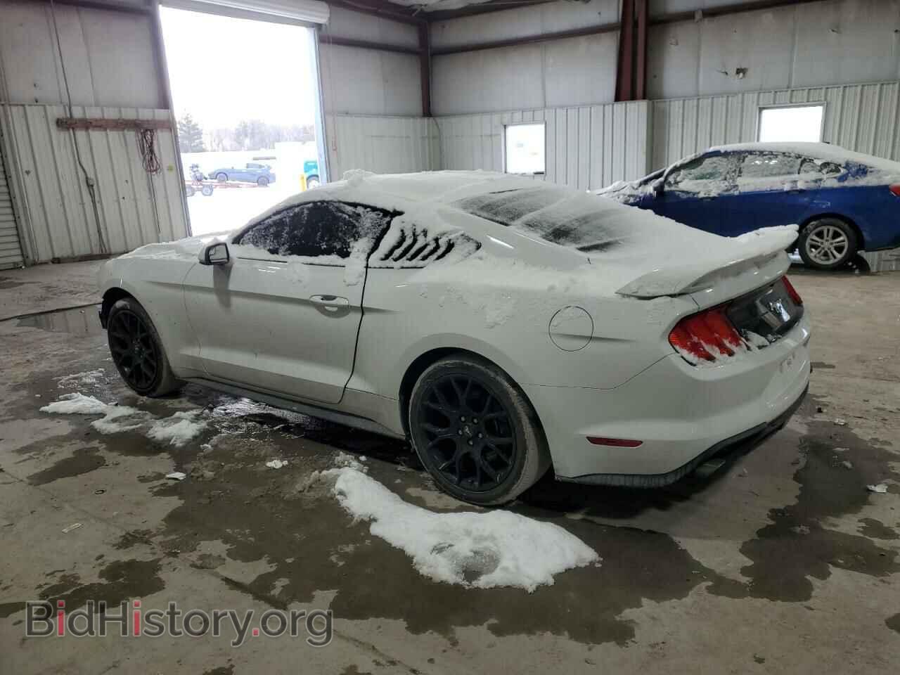 2019 FORD ALL Models - VIN: 1FA6P8TH0K5123315 - Фото 2