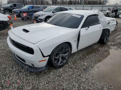 2019 Dodge CHALLENGER R/T, белый — VIN 2C3CDZBT0KH620914, Copart