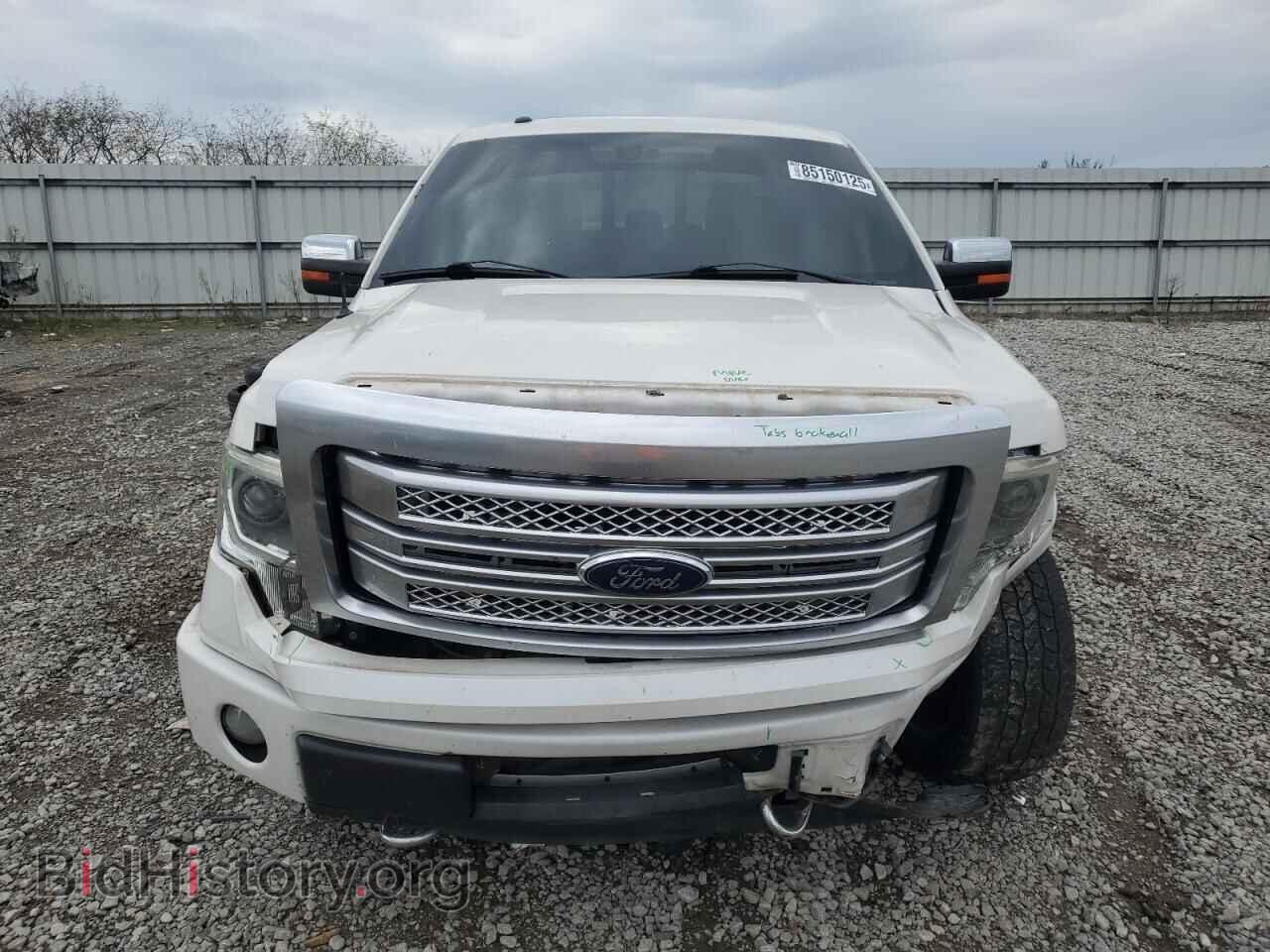 2013 FORD F-150 - VIN: 1FTFW1EF0DFD68239 - Фото 5
