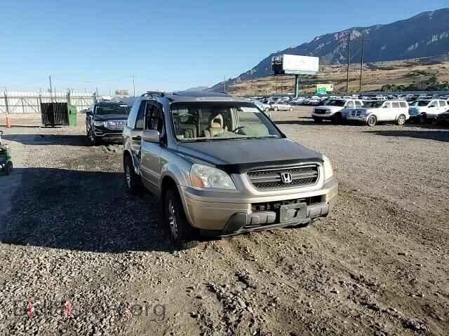 2005 HONDA PILOT - VIN: 5FNYF18525B036420 - Фото 14