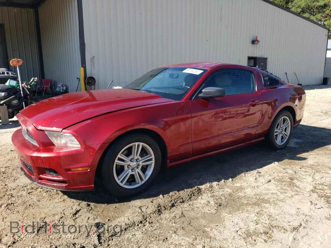 Photo 1ZVBP8AM4E5249333 - FORD ALL Models 2014
