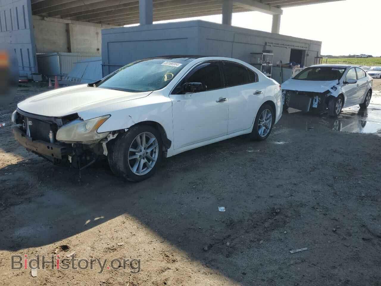 Photo 1N4AA5AP1BC805376 - NISSAN MAXIMA 2011