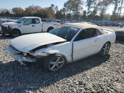 2006 Ford ALL MODELS, white — VIN 1ZVFT84N365189094, Copart