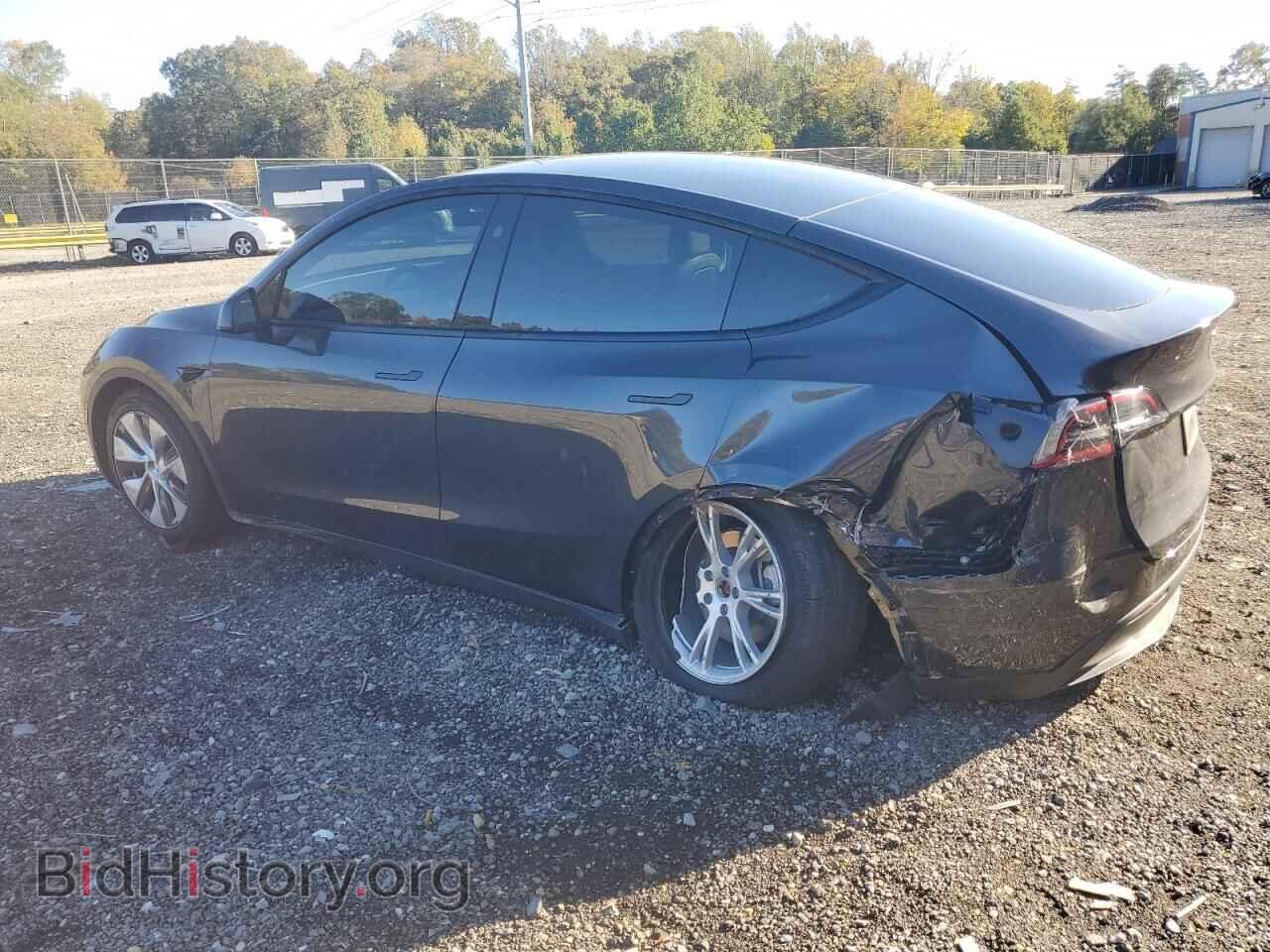 2024 TESLA MODEL Y - VIN: 7SAYGDED5RF008081 - Фото 2