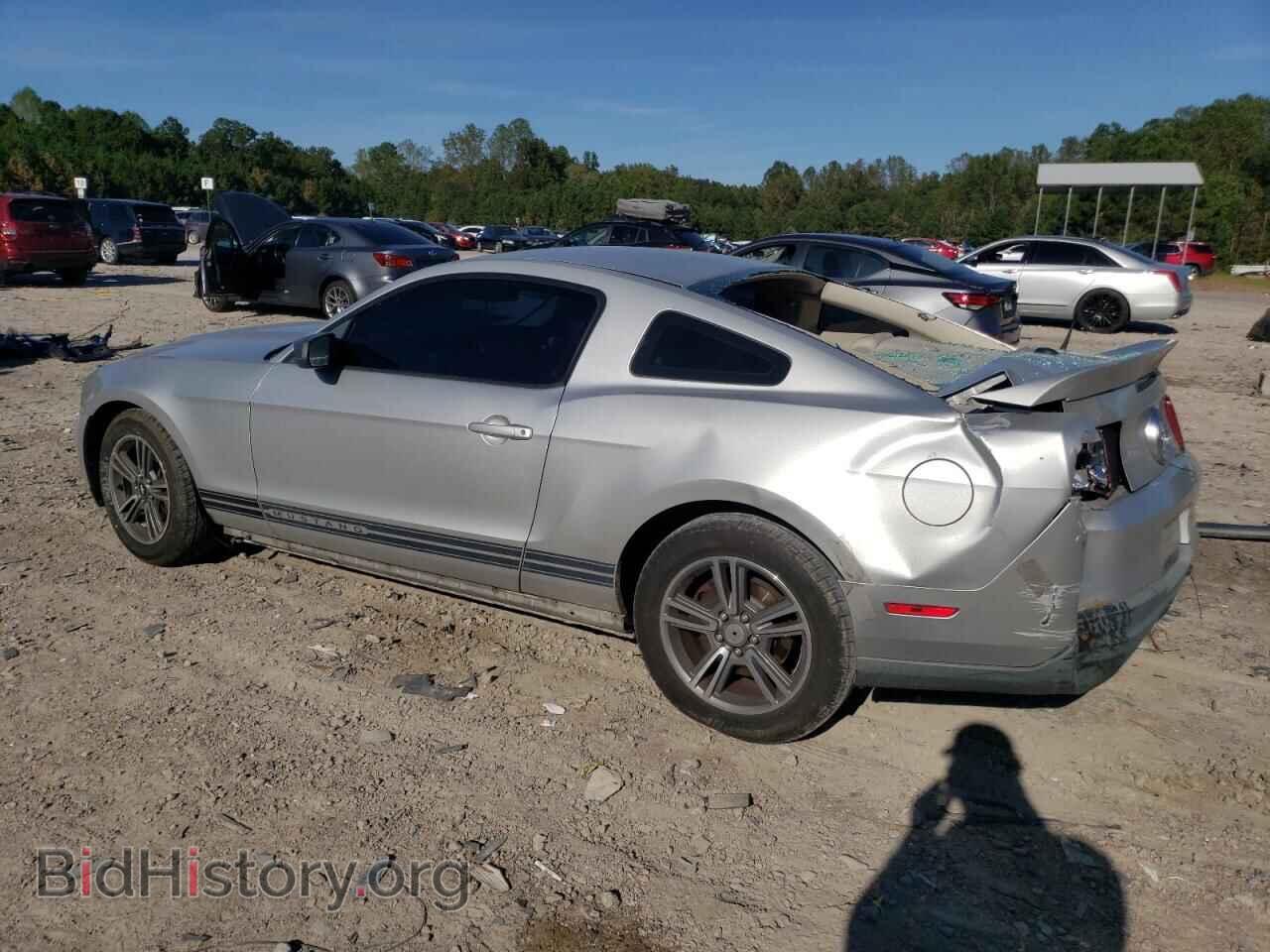 2010 FORD ALL Models - VIN: 1ZVBP8AN1A5107976 - Фото 2