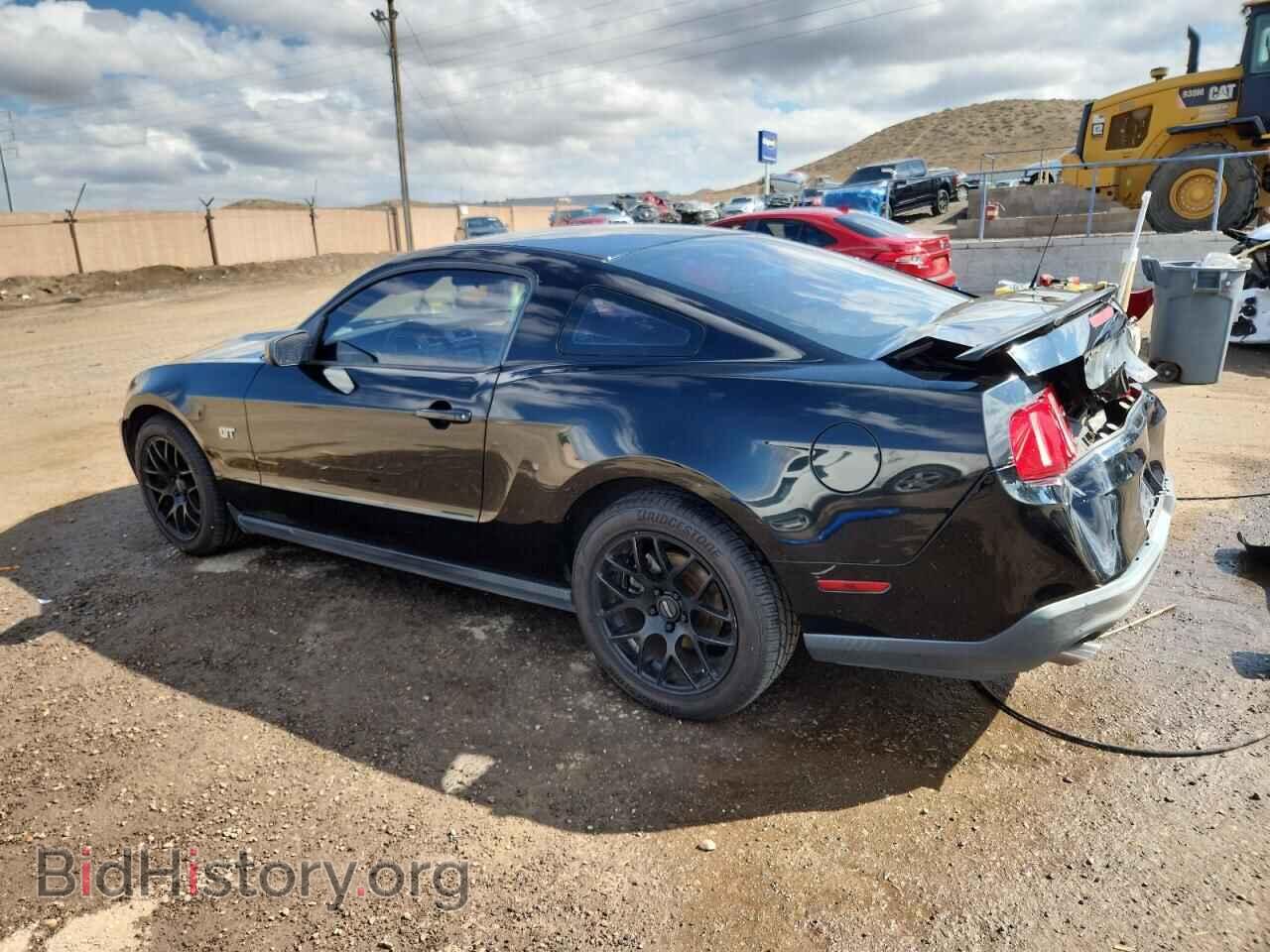 2010 FORD MUSTANG - VIN: 1ZVBP8CH8A5168524 - Фото 2