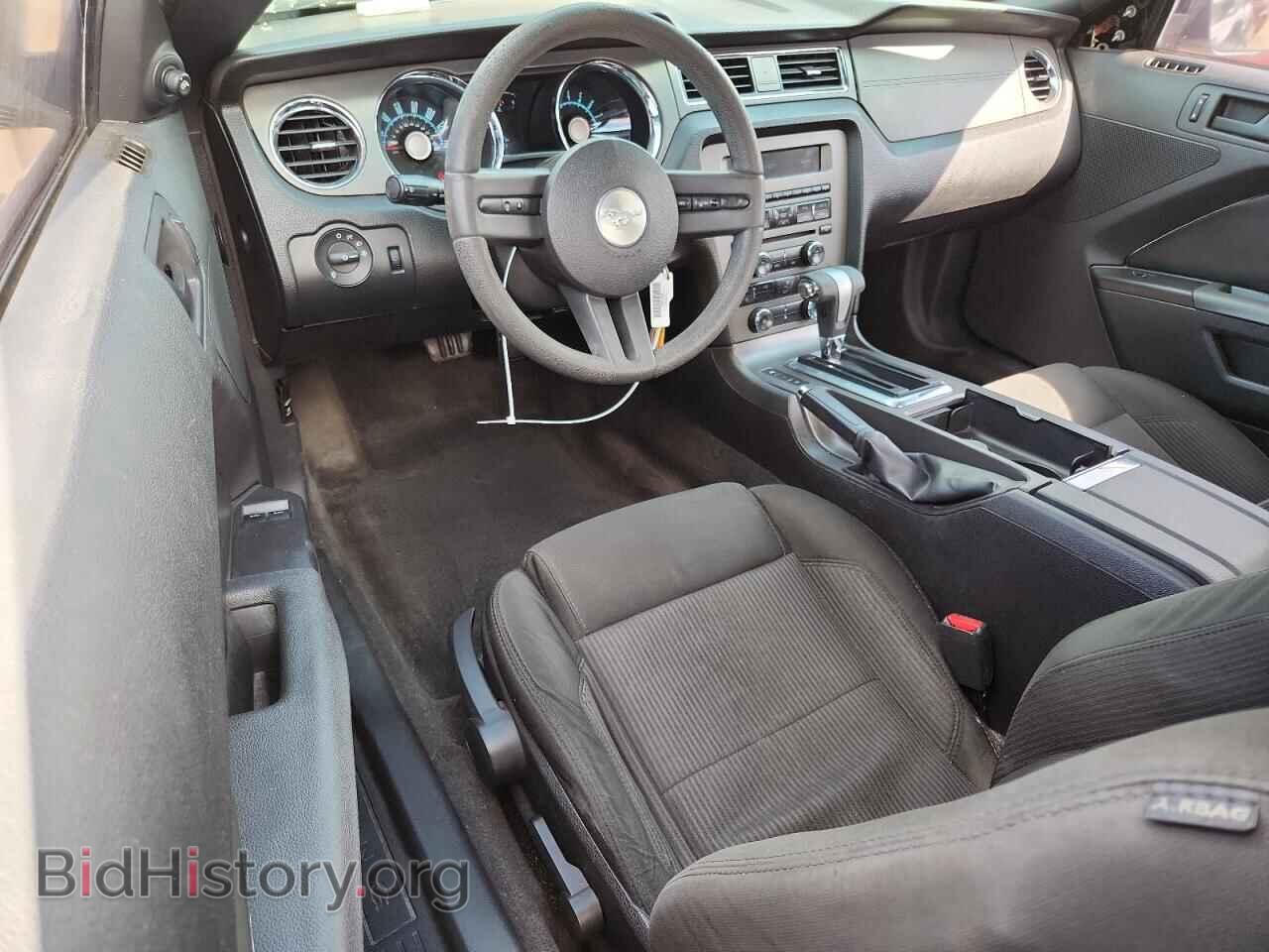 2010 FORD MUSTANG - VIN: 1ZVBP8CH8A5168524 - Фото 8