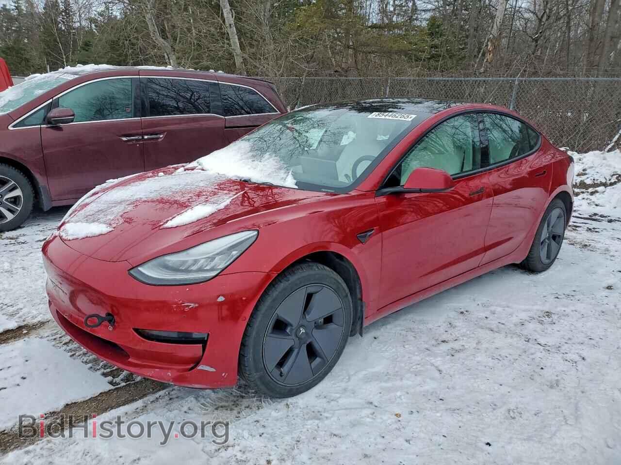 Photo 5YJ3E1EA2MF853318 - TESLA MODEL 3 2021