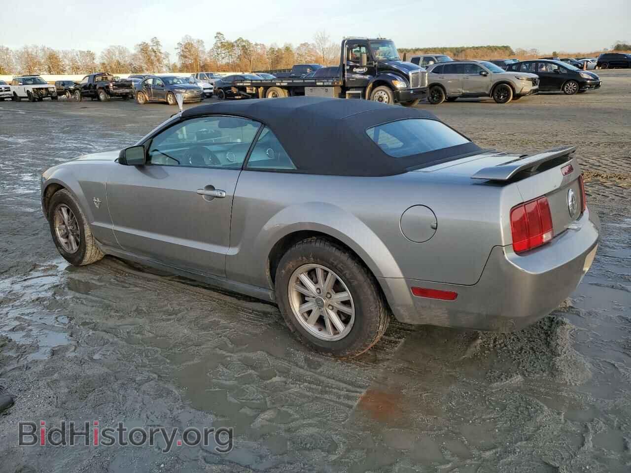2009 FORD ALL Models - VIN: 1ZVHT84N495121741 - Фото 2