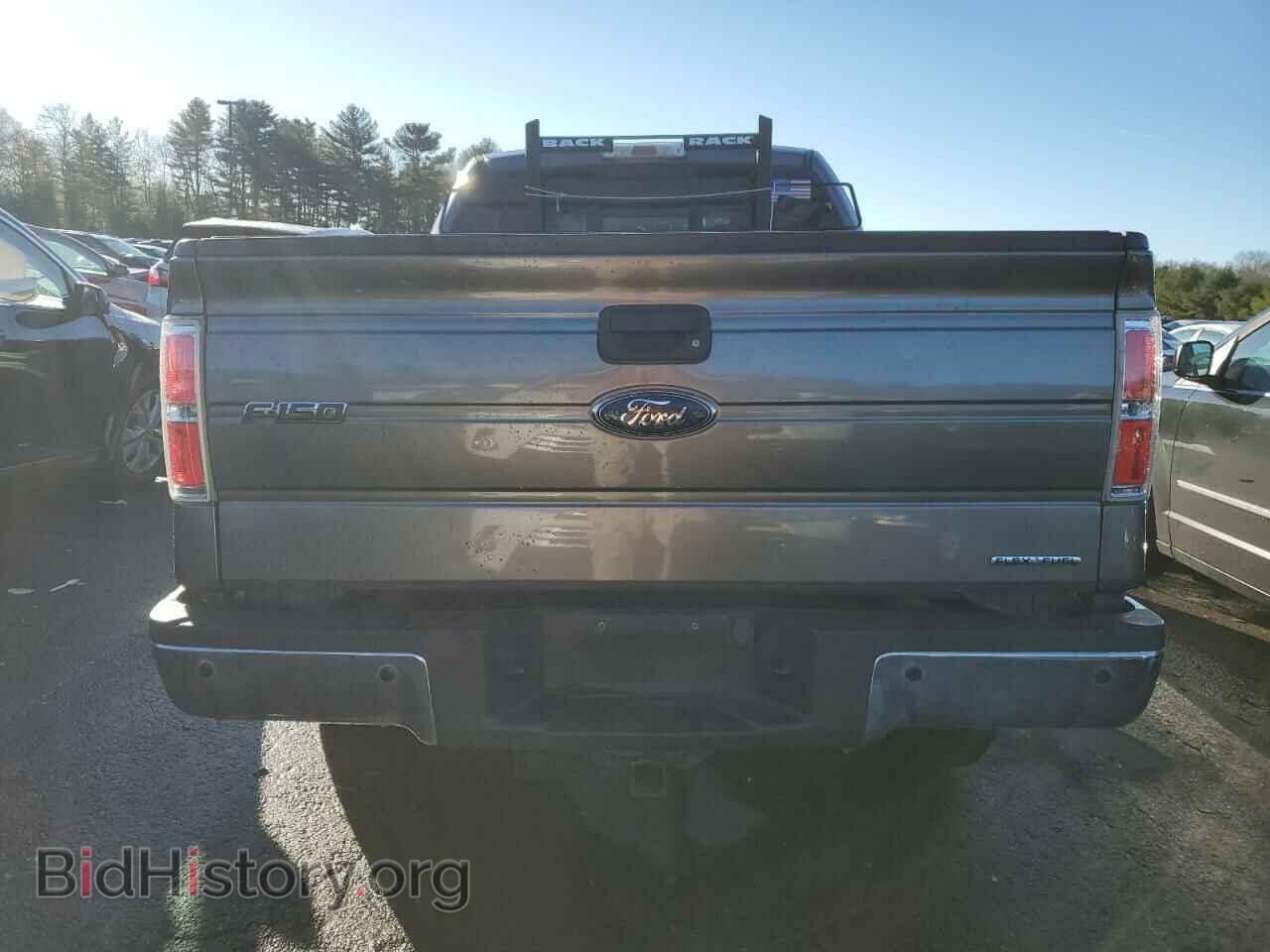 2013 FORD F-150 - VIN: 1FTFX1EF6DFD87424 - Фото 6
