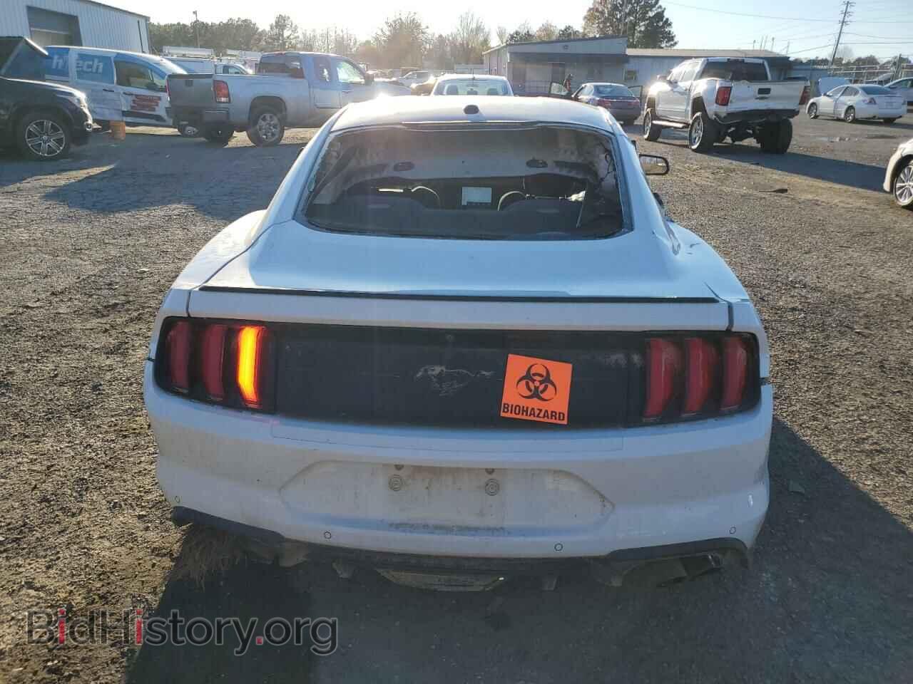 2019 FORD ALL Models - VIN: 1FA6P8THXK5111544 - Фото 6