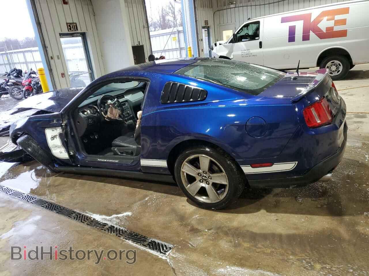 2010 FORD MUSTANG - VIN: 1ZVBP8CH3A5154031 - Фото 2