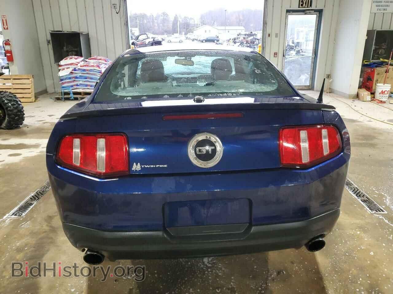 2010 FORD MUSTANG - VIN: 1ZVBP8CH3A5154031 - Фото 6