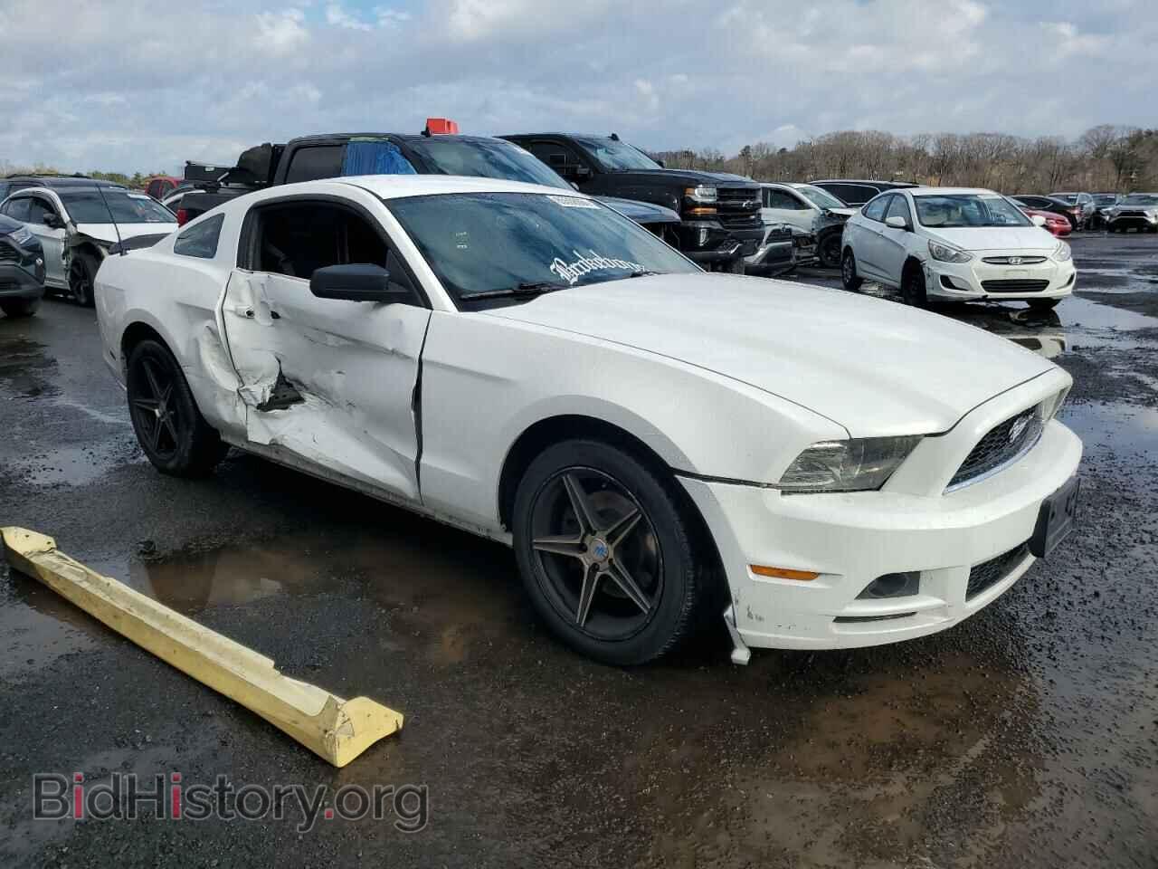 2013 FORD ALL Models - VIN: 1ZVBP8AM4D5255907 - Фото 4