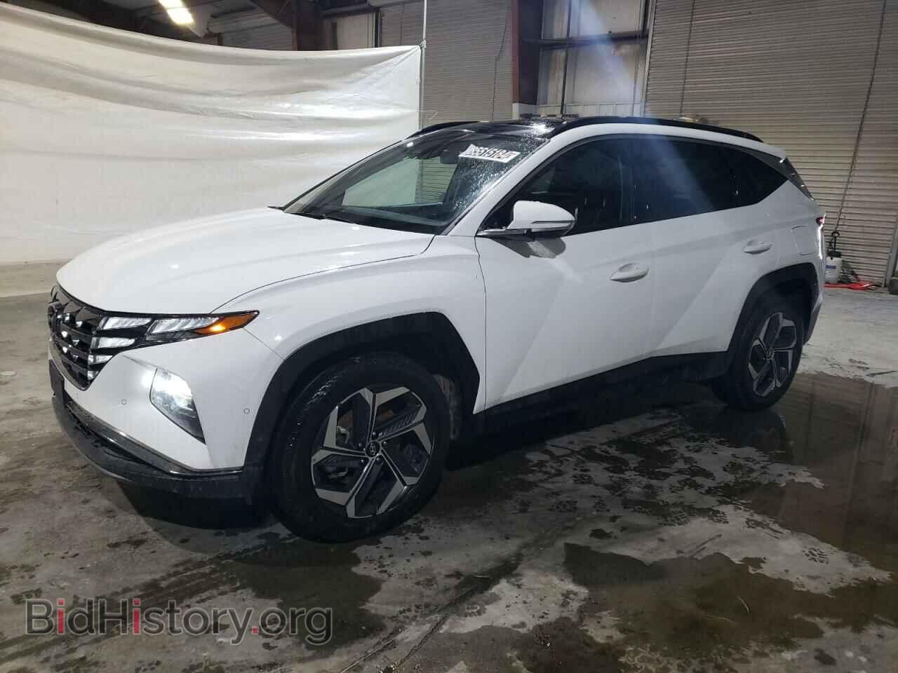 Photo 5NMJECDE4RH329021 - HYUNDAI TUCSON 2024