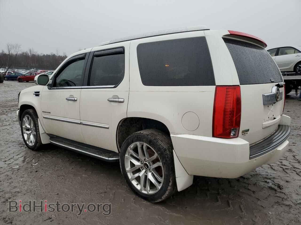 2011 CADILLAC ESCALADE - VIN: 1GYS4BEF7BR399844 - Фото 2