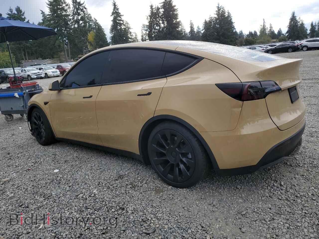 2024 TESLA MODEL Y - VIN: 7SAYGDEEXRF994331 - Фото 2