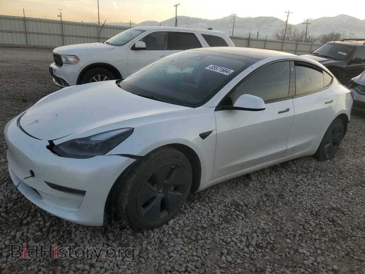 Photo 5YJ3E1EA1PF586774 - TESLA MODEL 3 2023