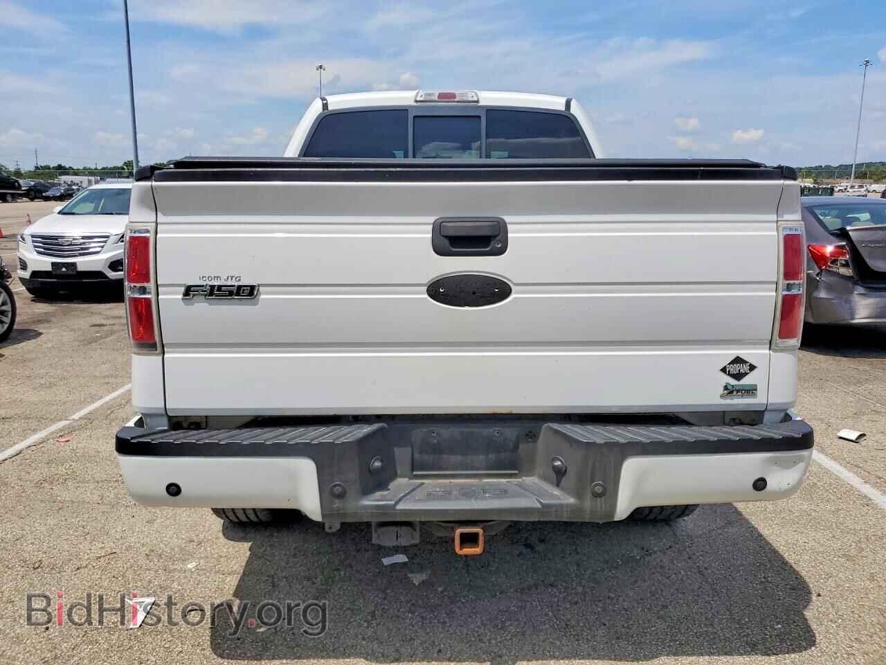 2010 FORD F150 - VIN: 1FTFW1EV9AFA51790 - Фото 6