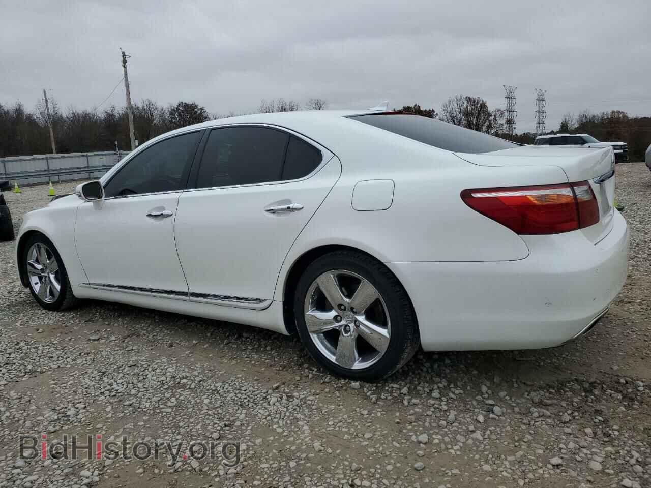 2011 LEXUS LS460 - VIN: JTHBL5EF2B5104326 - Photo 2