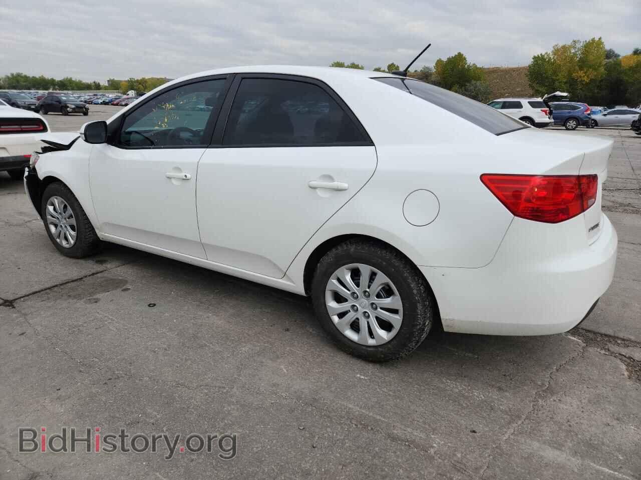 2012 KIA FORTE - VIN: KNAFU4A21C5543612 - Фото 2