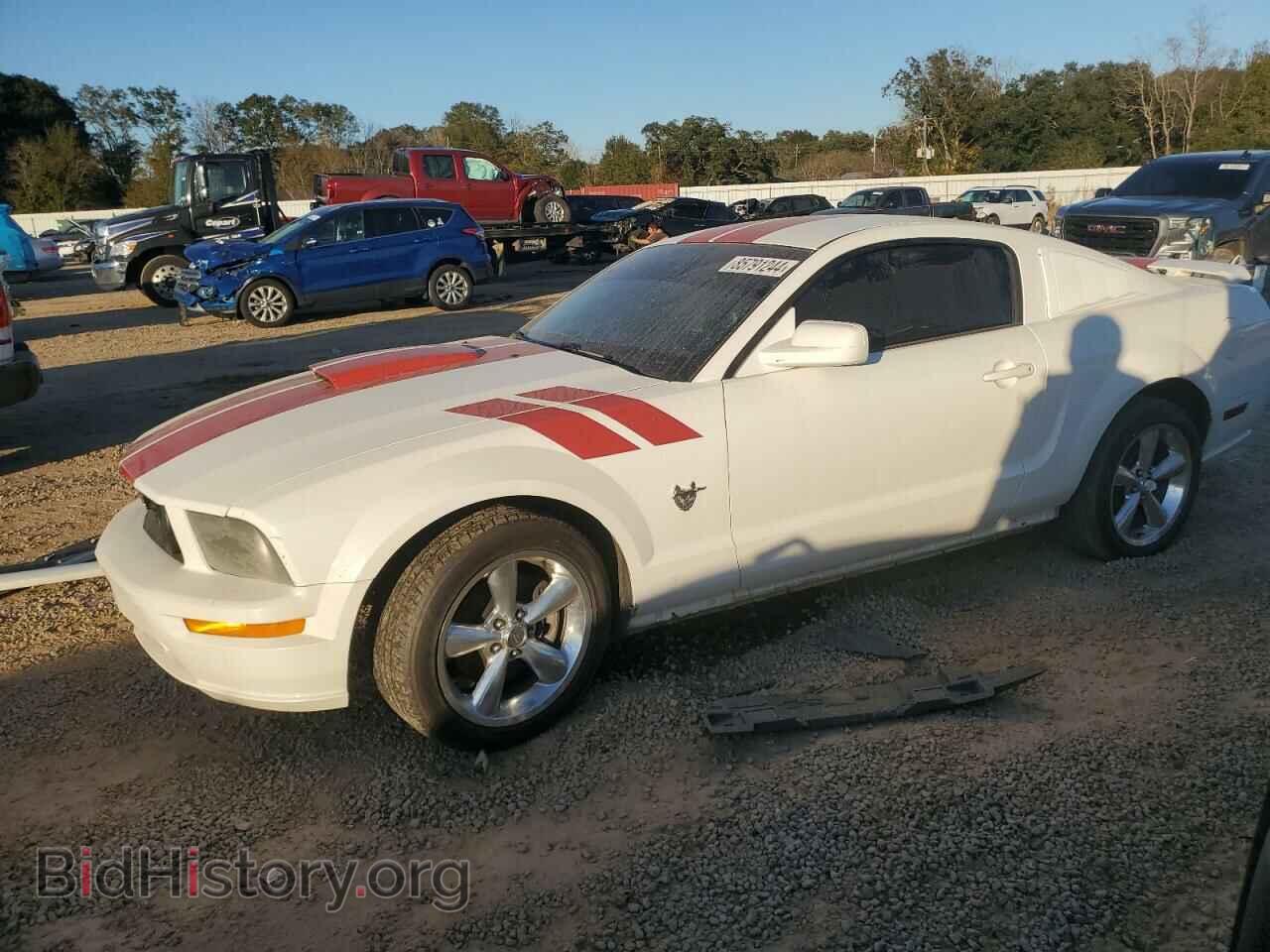 Фотография 1ZVHT82H495116889 - FORD MUSTANG 2009