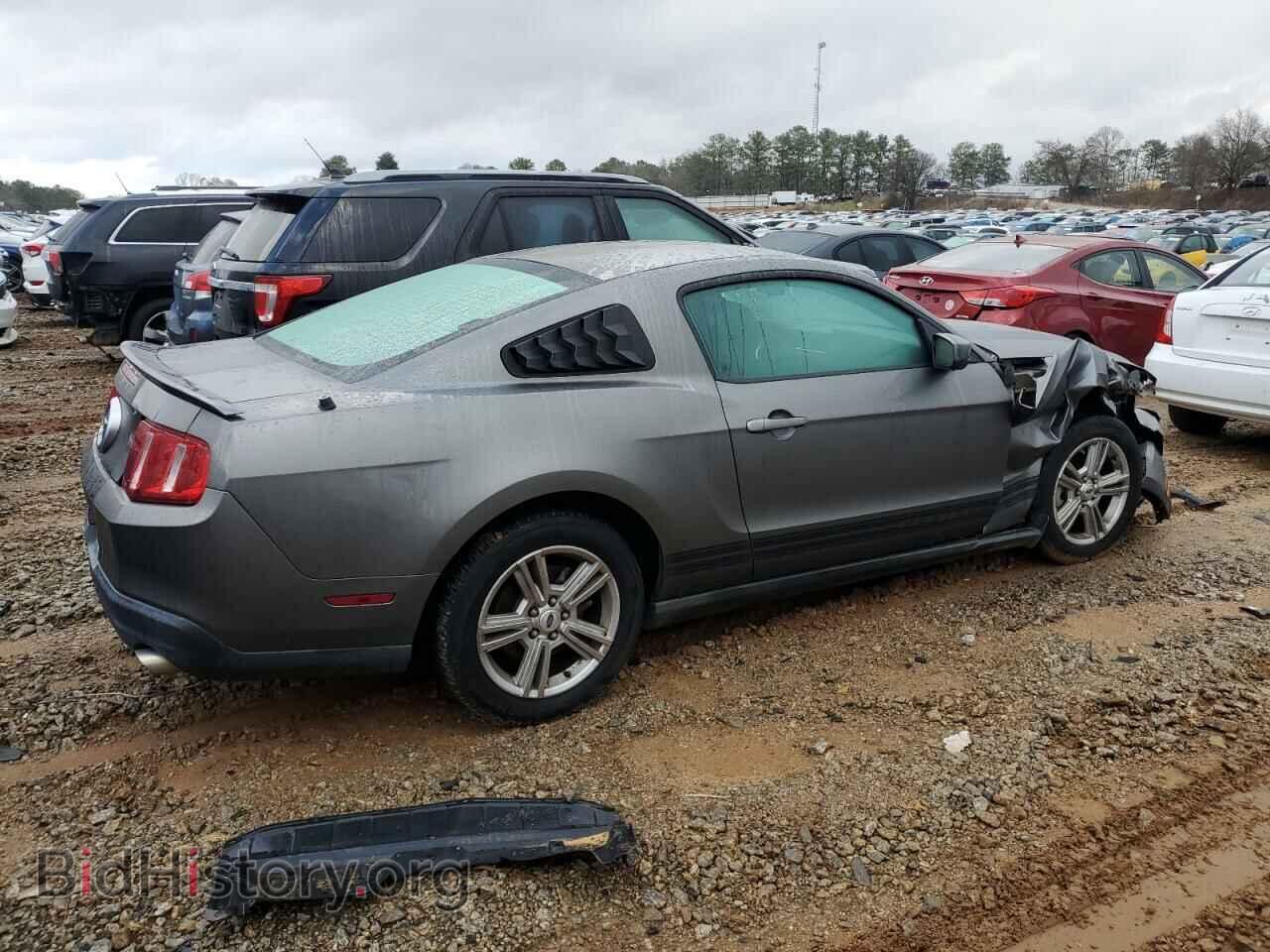 2010 FORD ALL Models - VIN: 1ZVBP8AN6A5129830 - Фото 3
