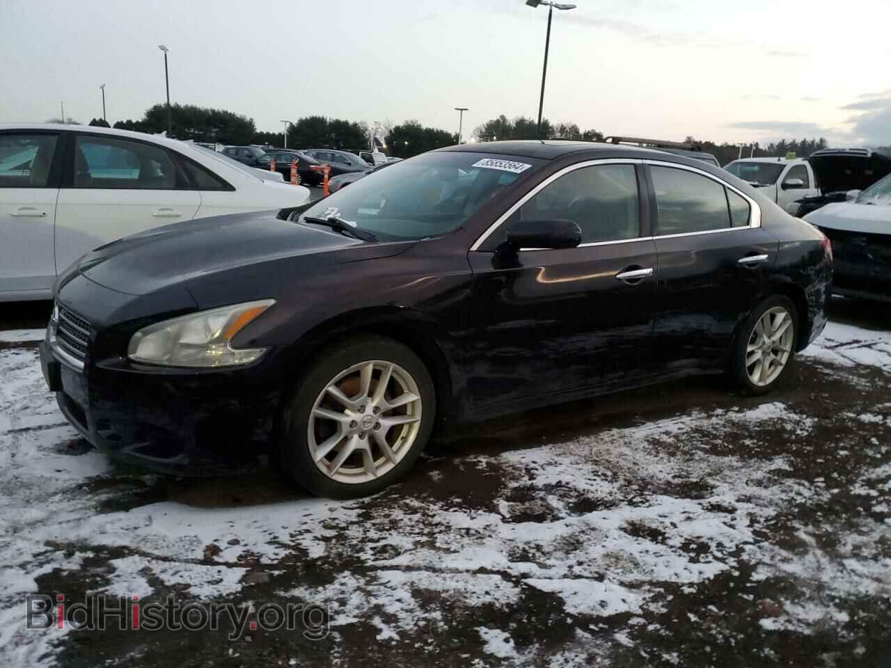 Фотография 1N4AA5AP8AC856212 - NISSAN MAXIMA 2010
