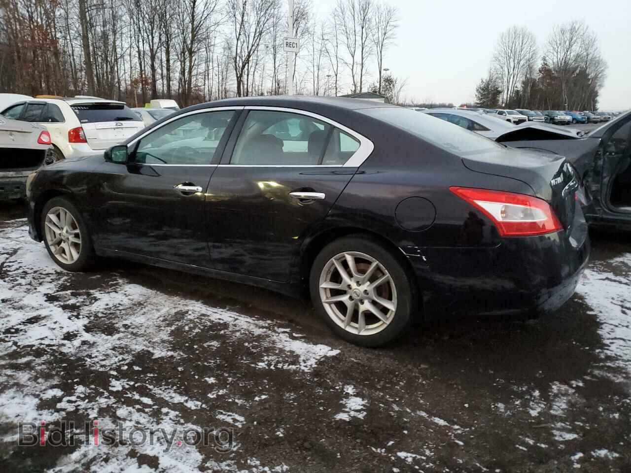 2010 NISSAN MAXIMA - VIN: 1N4AA5AP8AC856212 - Фото 2