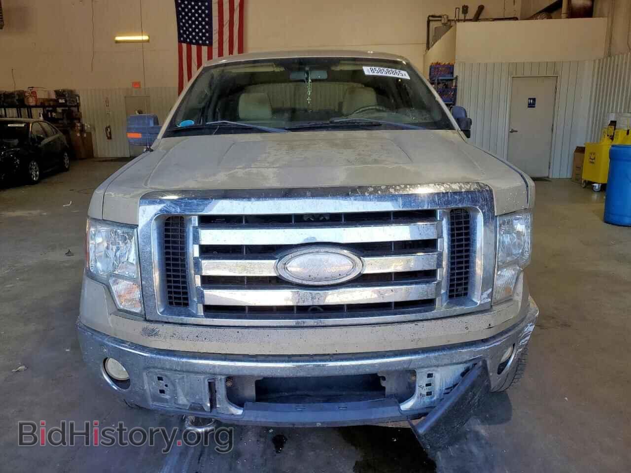 2009 FORD F-150 - VIN: 1FTRW14869FA13681 - Фото 5
