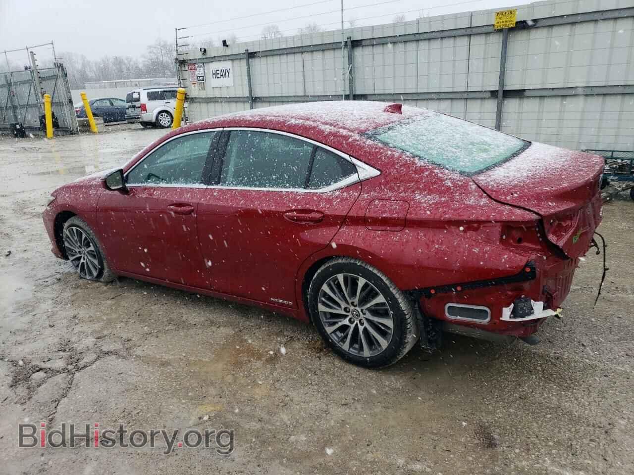 2021 LEXUS ES300 - VIN: 58ADA1C10MU013018 - Фото 2
