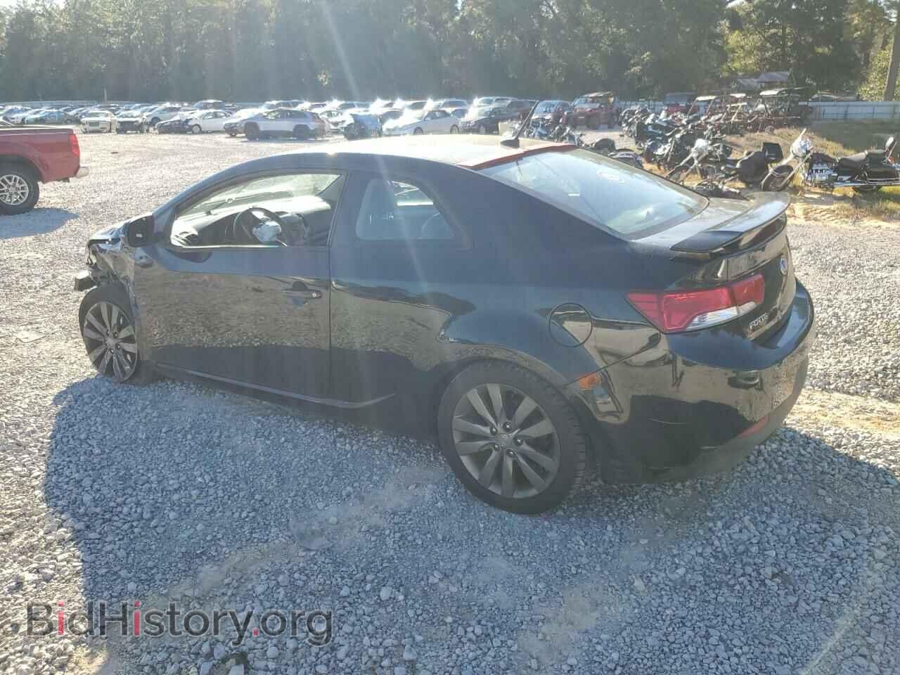 2013 KIA FORTE - VIN: KNAFW6A30D5707044 - Фото 2