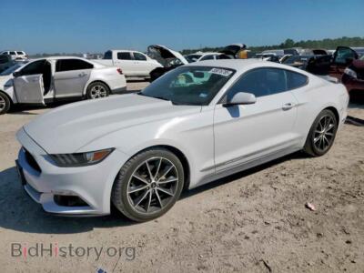 2017 Ford ALL MODELS, белый — VIN 1FA6P8TH6H5281098, Copart