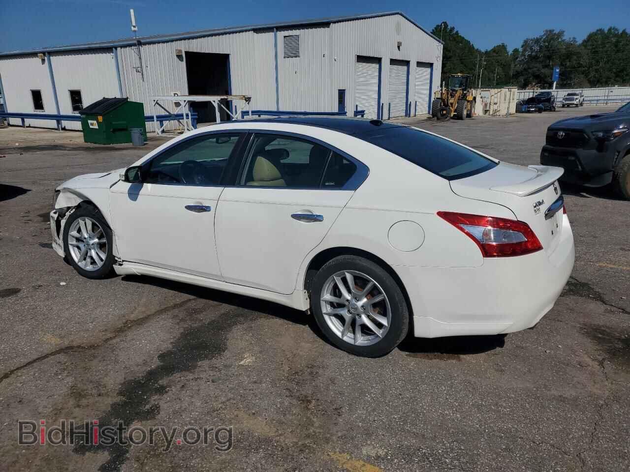 2011 NISSAN MAXIMA - VIN: 1N4AA5AP7BC869194 - Фото 2