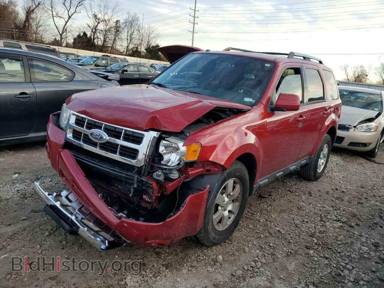 Фотография 1FMCU0EG4BKC05749 - FORD ESCAPE 2011