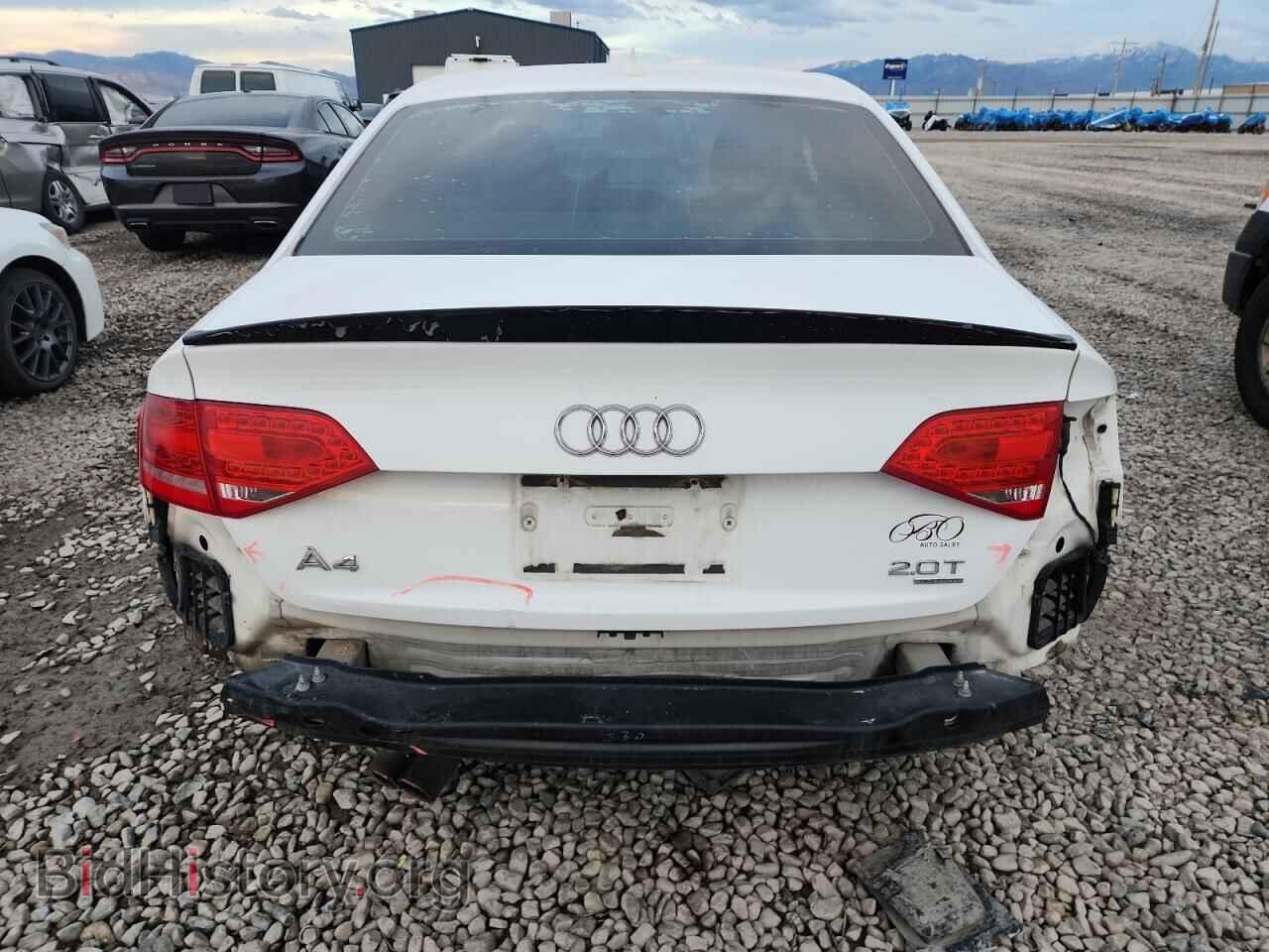 2011 AUDI A4 - VIN: WAUFFAFL1BN025721 - Фото 6