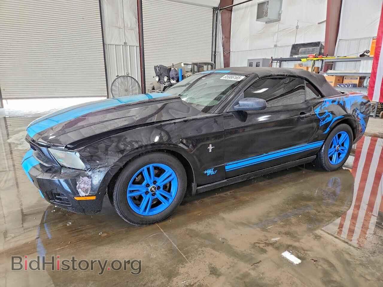 Фотография 1ZVBP8EM5B5129059 - FORD MUSTANG 2011