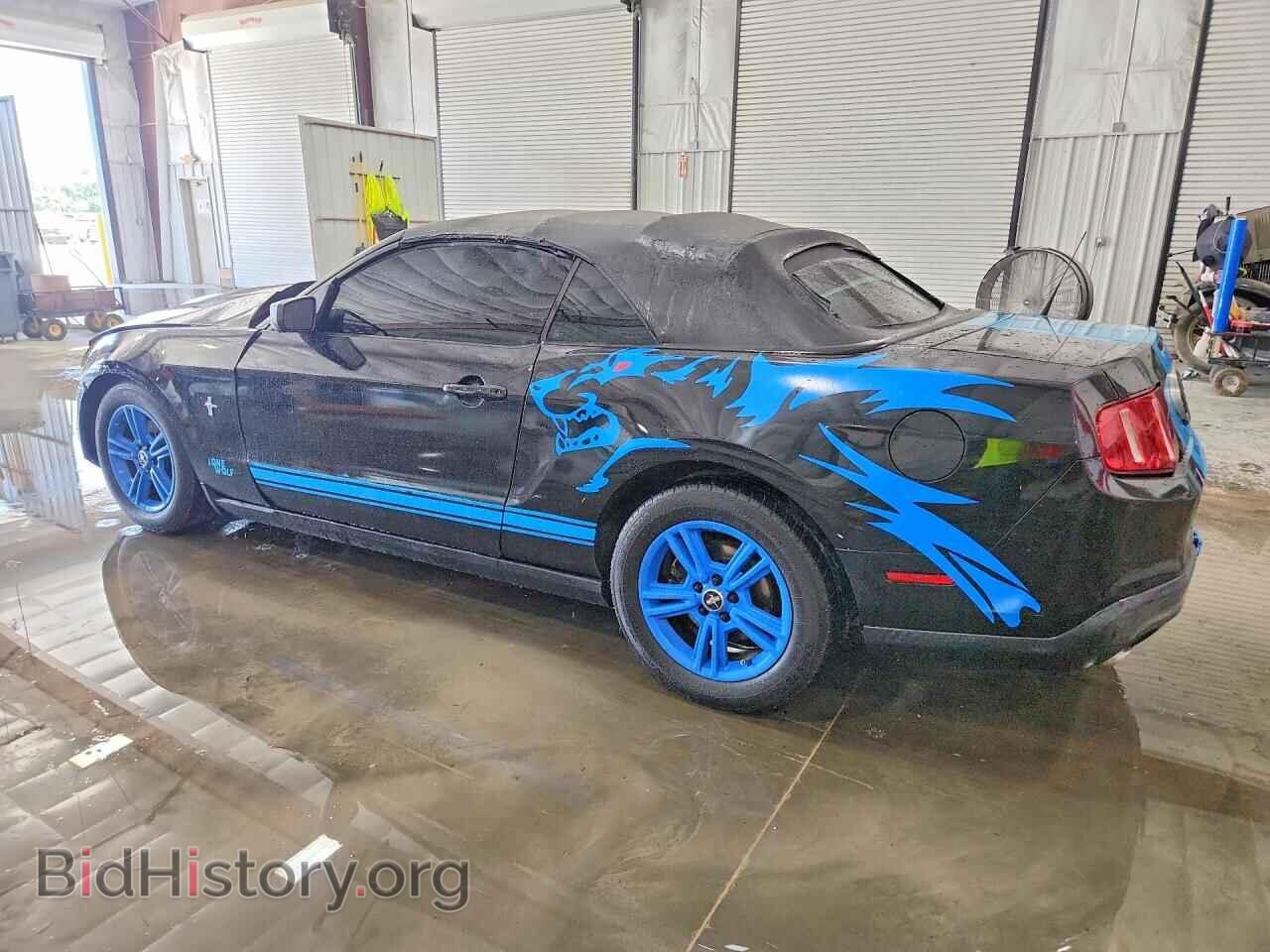 2011 FORD MUSTANG - VIN: 1ZVBP8EM5B5129059 - Фото 2