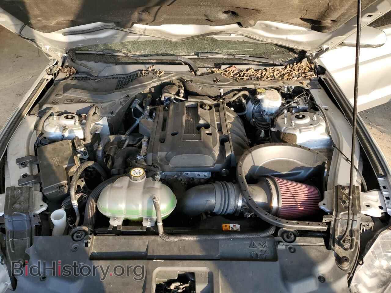 2018 FORD ALL Models - VIN: 1FA6P8TH4J5115541 - Фото 11